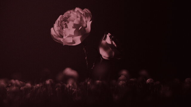True Love (Lyric Video)