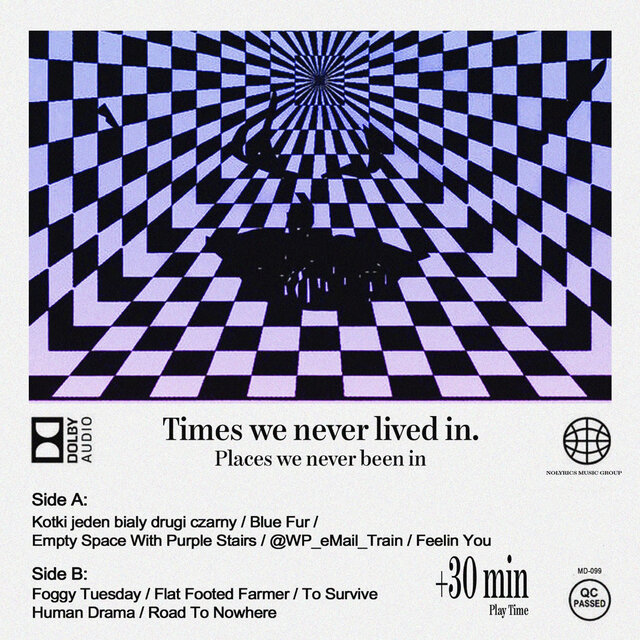 Times We Never Lived In