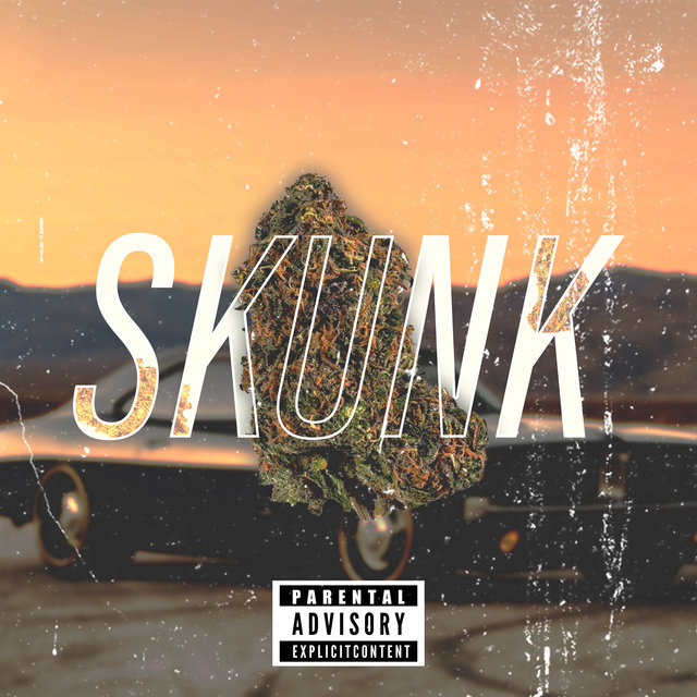 Skunk