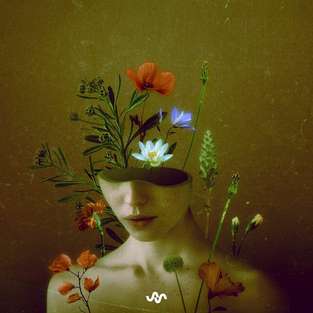 A Garden of Sounds