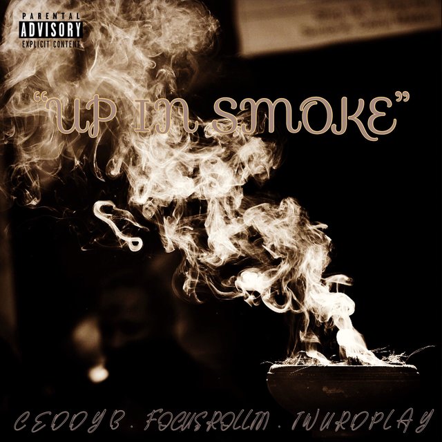 Up in Smoke (feat. Iwurdplay & Focus Rollin')