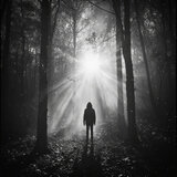 Lost
