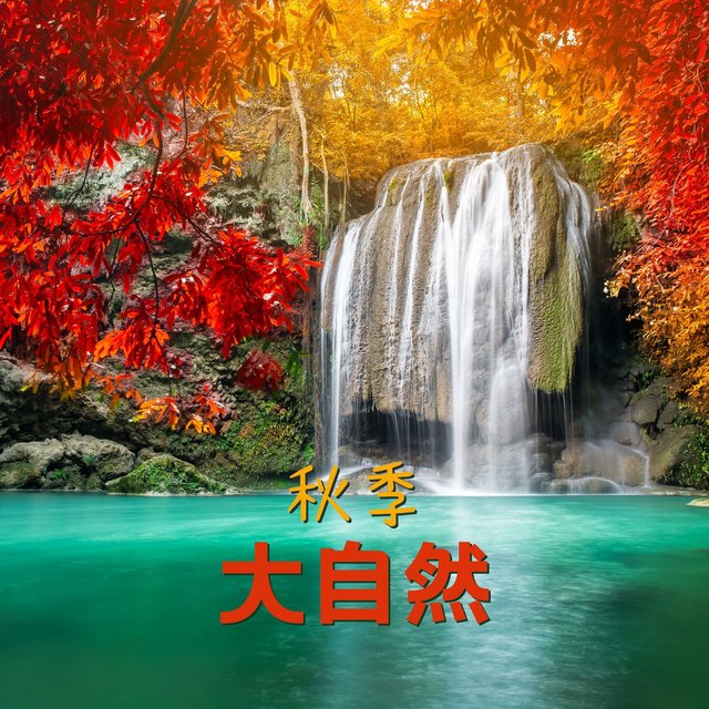 秋季大自然: 治療大自然的聲音，小鳥鳴叫、森林公園、水聲、雨天白噪音