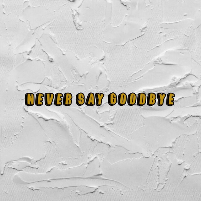 Never Say Goodbye