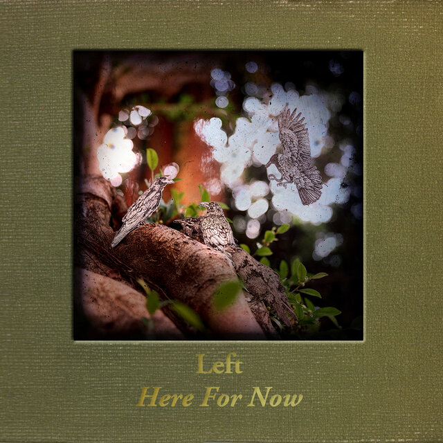 Here for Now