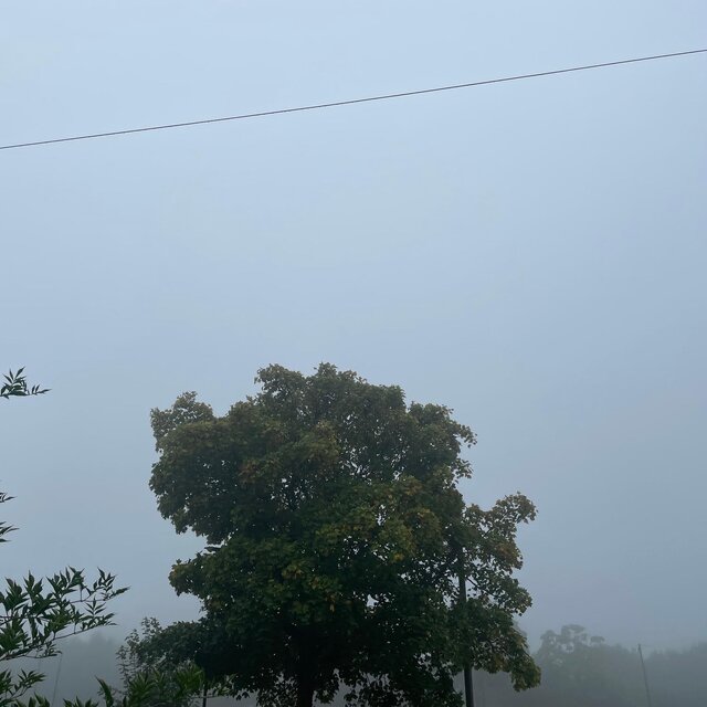 Fog