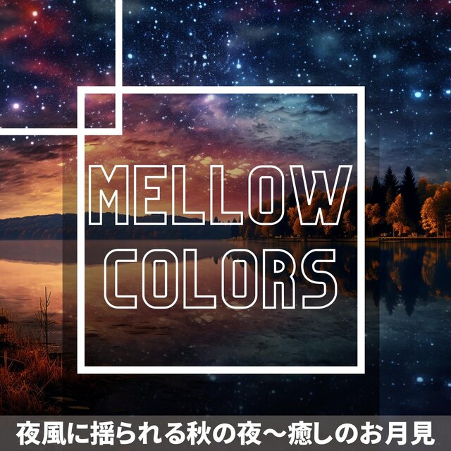 夜風に揺られる秋の夜〜癒しのお月見