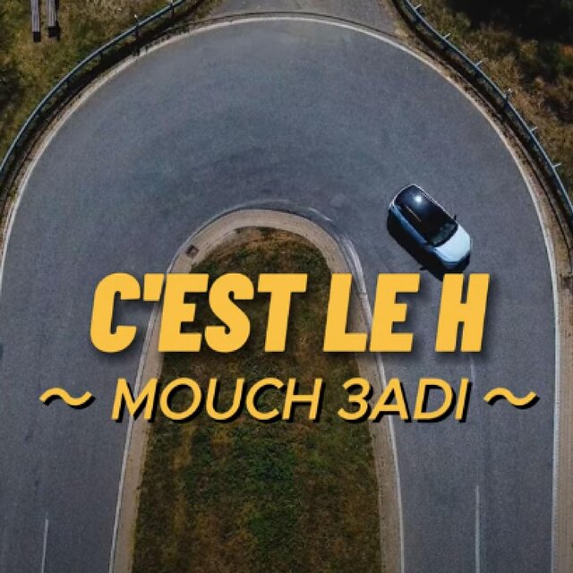 موش عادي