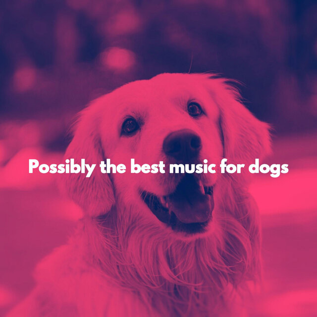 Possibly the best music for dogs
