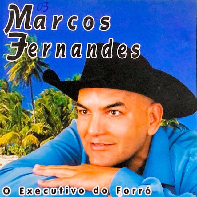 O Executivo do Forró, Vol. 3