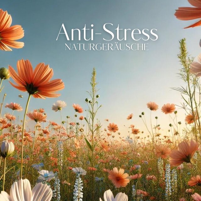Anti-Stress-Naturgeräusche