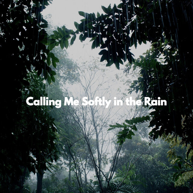 Calling Me Softly in the Rain