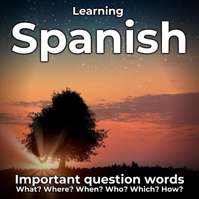 Learning Spanish: Important Question Words (What? Where? When? Who? Which? How?)