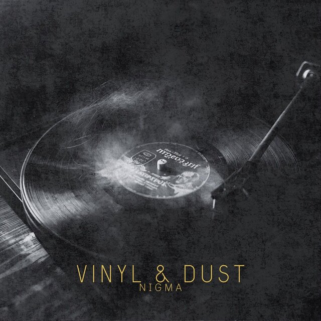 Vinyl & Dust