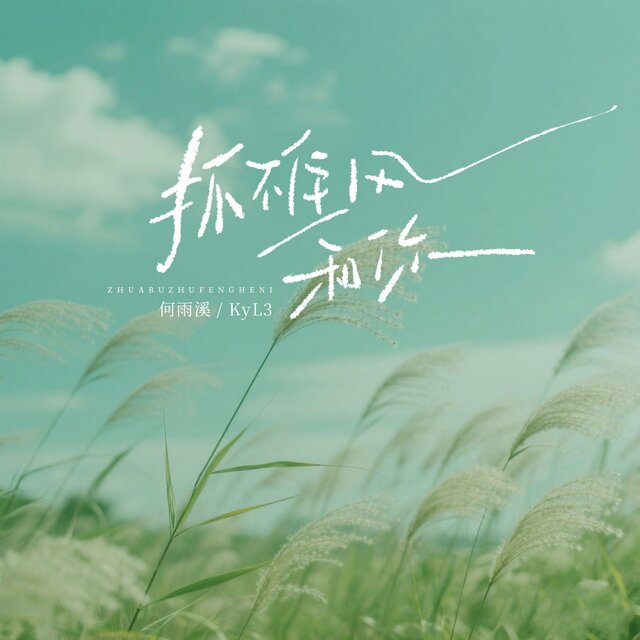 抓不住风和你