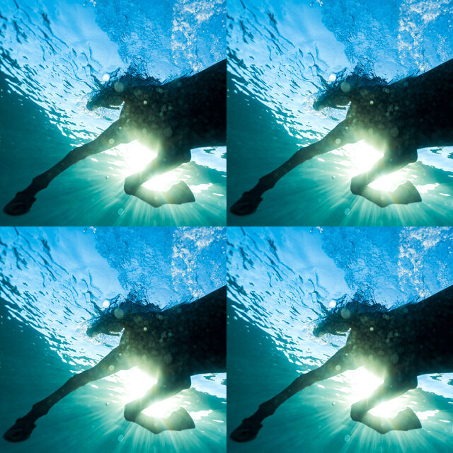 Cover art for album If It's Too Loud: First Listen for 6 and 13 February 2026 by User