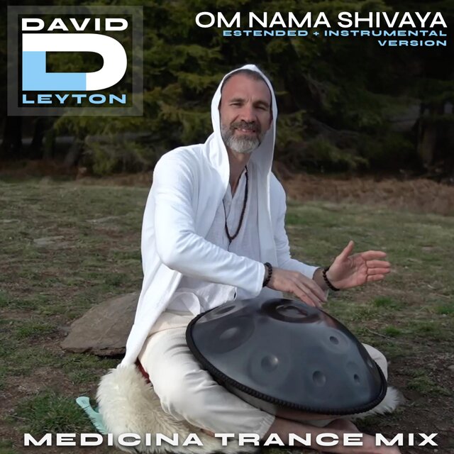 Om Nama Shivaya
