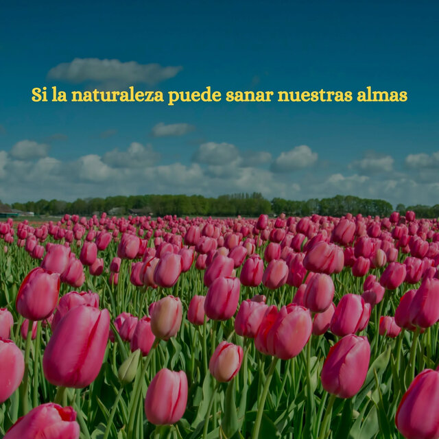 Si la naturaleza puede sanar nuestras almas