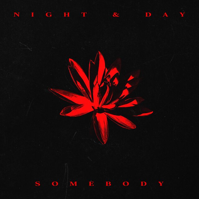 Night & Day / Somebody