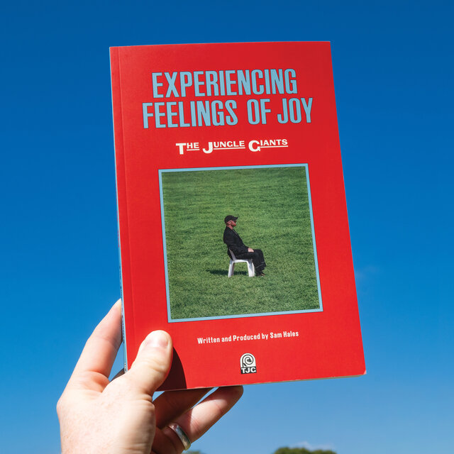 Cover art for album Experiencing Feelings of Joy by The Jungle Giants
