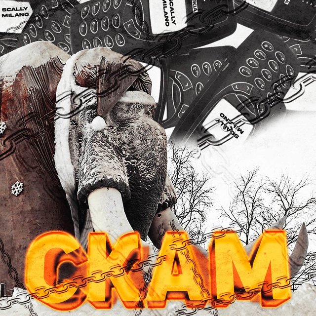 Скам