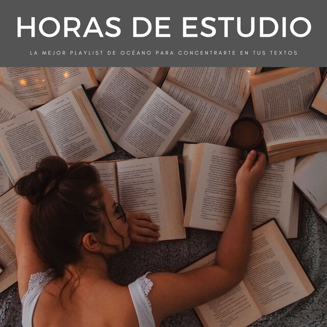Horas De Estudio: La Mejor Playlist De Océano Para Concentrarte En Tus Textos