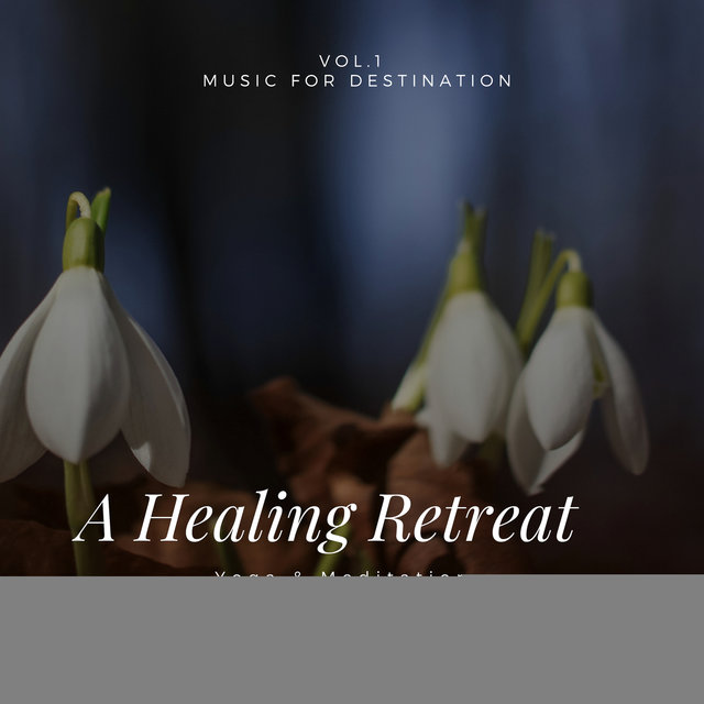 A Healing Retreat - Music For Destination Yoga & Meditation Vol.1