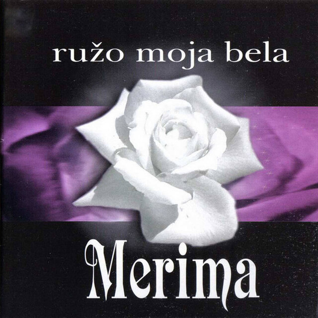 Ružo moja bela