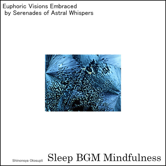 Cover art for album Euphoric Visions Embraced by Serenades of Astral Whispers by Sleep BGM Mindfulness
