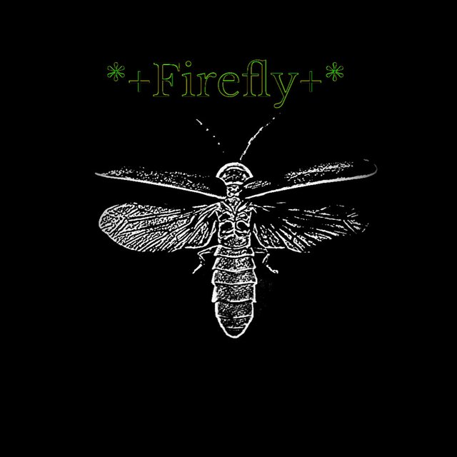*+Firefly+*