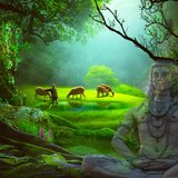 432 Hz Miracle Music