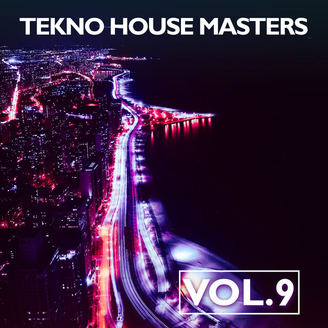Tekno House Masters, Vol. 9