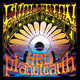 Cover art for album Evolution by (hed) p.e.