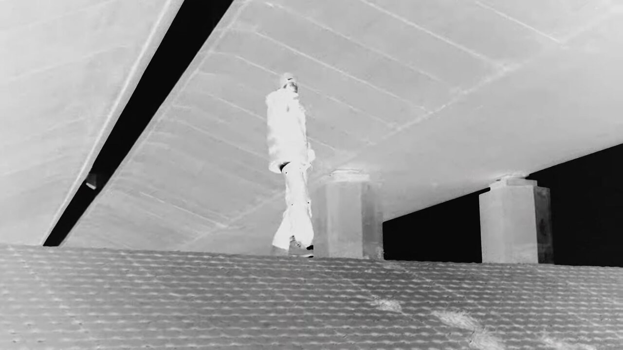 Robię Swoje (Official Video)
