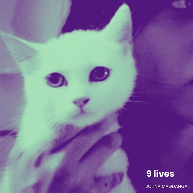 9 Lives