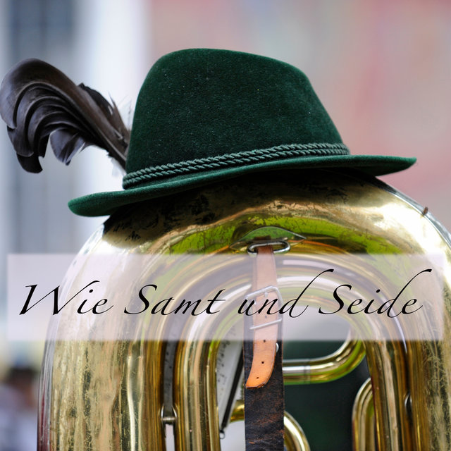 Wie Samt und Seide (Instrumental)