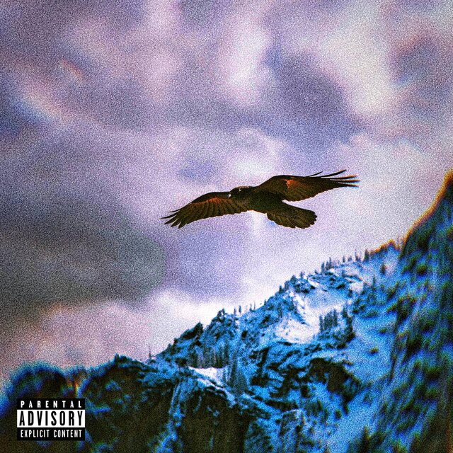 OFF THE GROUND