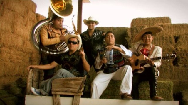 Al Gusto (Video (Album Version))