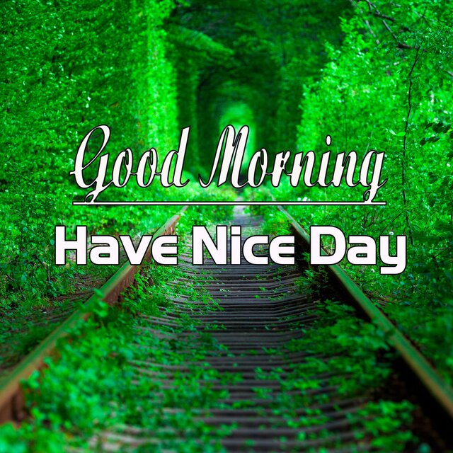 Morning Music Have Nice Day