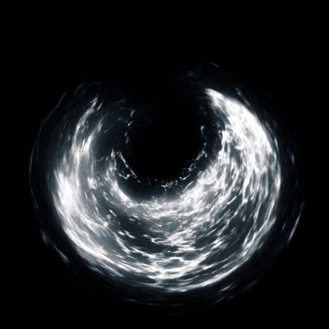 Nova
