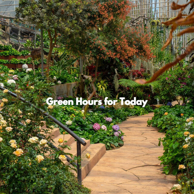 Green Hours for Today