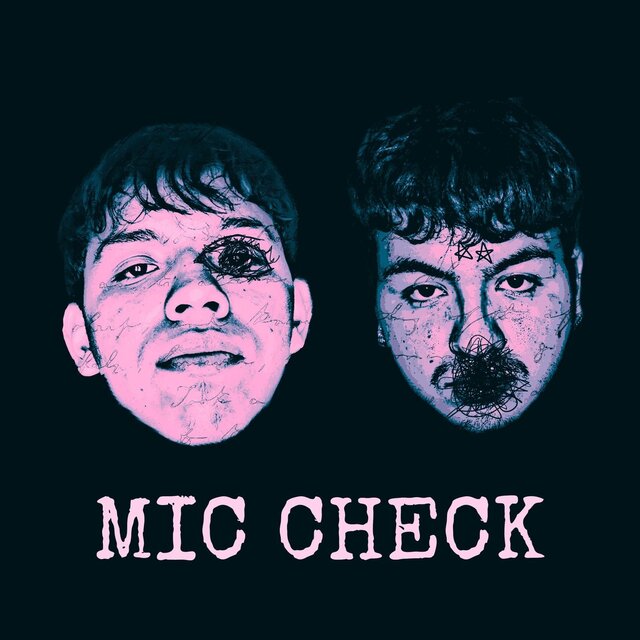 MIC CHECK