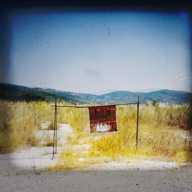 Wild Signs
