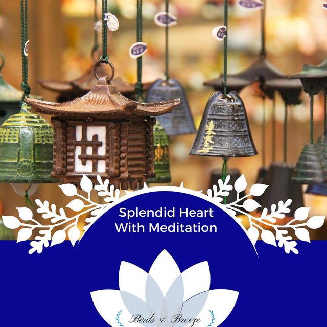 Splendid Heart With Meditation