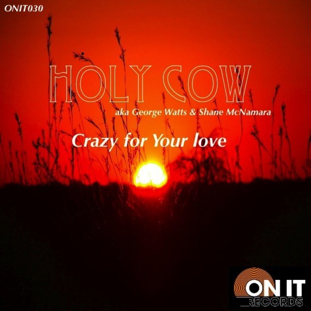 Crazy for Your Love