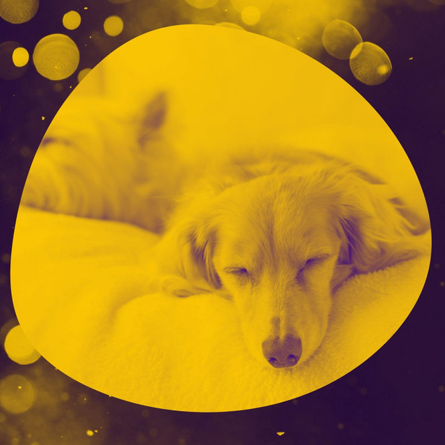 Bgm for Sleeping Dogs