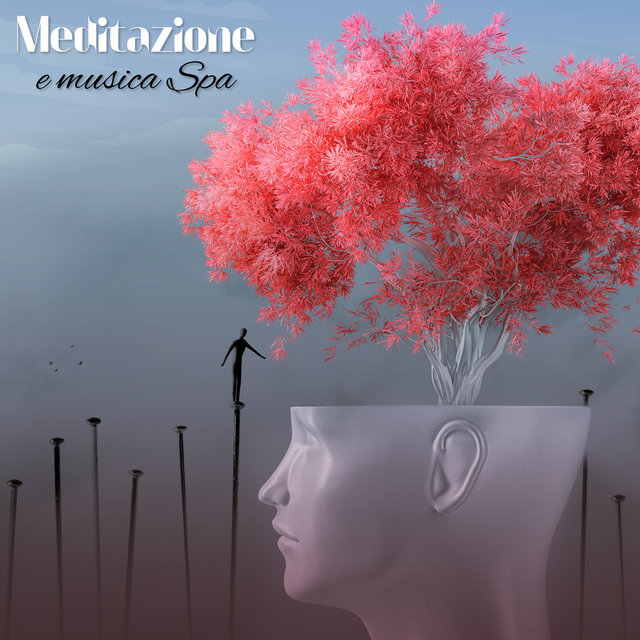Meditazione e musica SPA (Prenditi cura del tuo benessere e del tuo equilibrio)