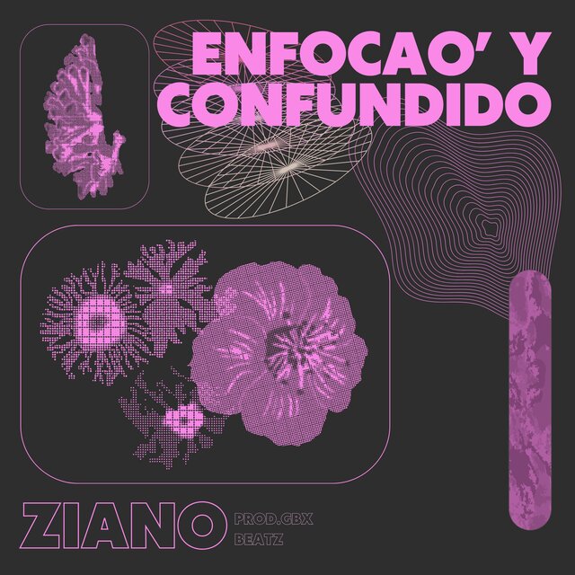 Enfocao' y Confundido