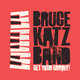 Cover art for album Get Your Groove by Bruce Katz Band