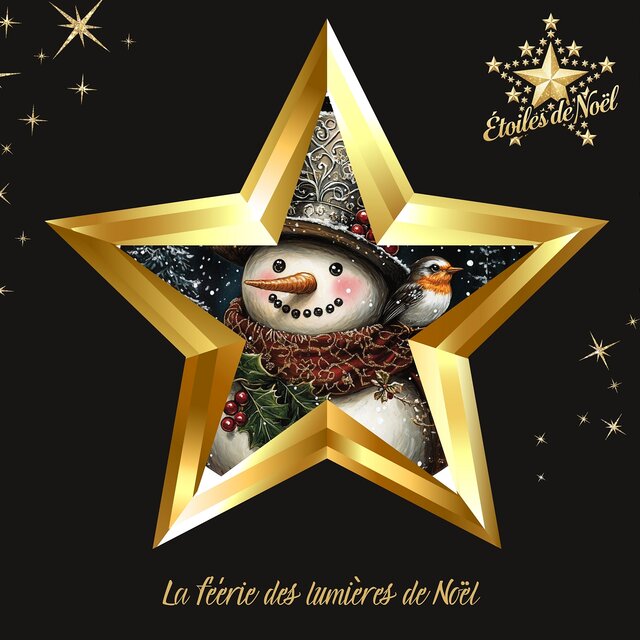 La féérie des lumières de Noël
